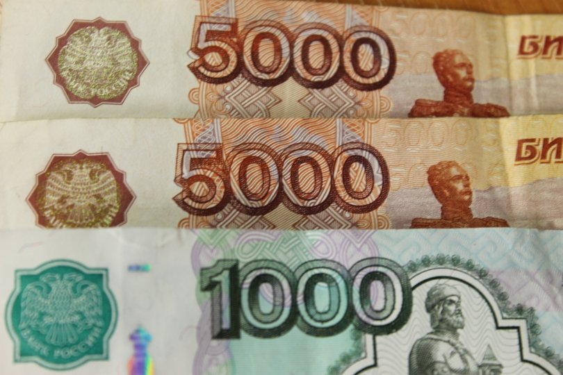В Башкирии из собачьей будки украли более миллиона рублей