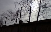 В Башкирию из иракской тюрьмы вернули двоих детей