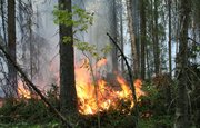 В Башкирии от грозового разряда произошло два лесных пожара