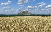 Аграрии Башкирии рассказали о вкладе в рекордный российский урожай 2022 года