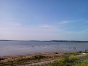 Радий Хабиров высказался по поводу тревожной ситуации на озере Аслыкуль