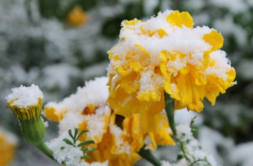 Названа дата первого снега в Башкирии