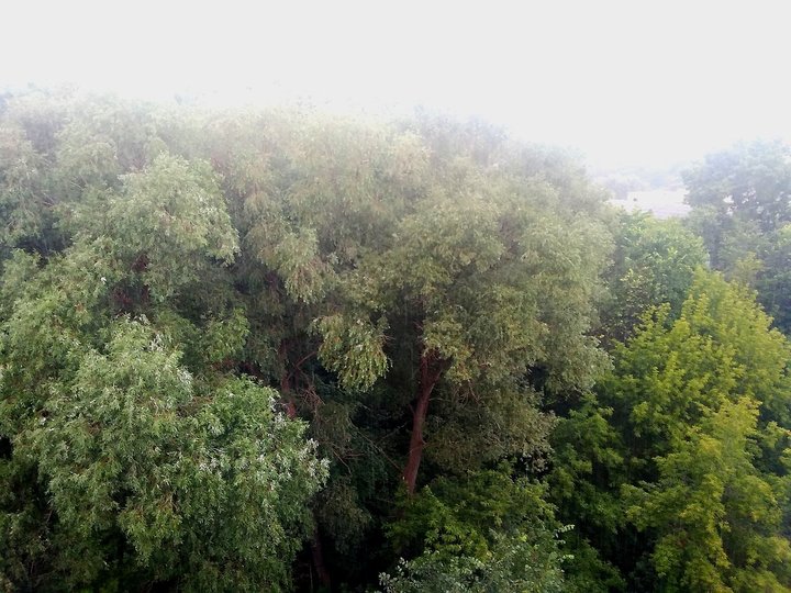 Синоптики прогнозируют в Башкирии жару и ливни с грозами