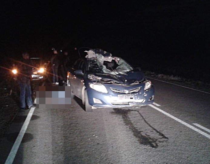 В Башкирии автомобиль врезался в лошадь: один человек погиб, трое пострадали