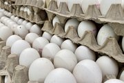 Названы три самых подешевевших популярных продукта питания в Башкирии