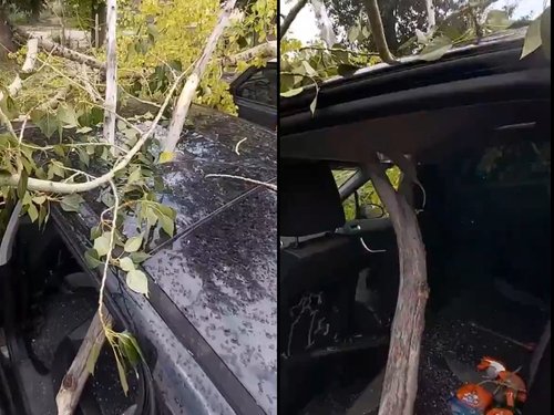 В Башкирии ветка упавшего дерева пронзила крышу автомобиля
