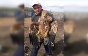 В Башкирии семейная пара спасла раненого орла