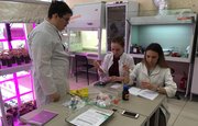 В лаборатории молекулярной биоинженерии межвузовского кампуса Уфы создают уникальные лекарственные культуры