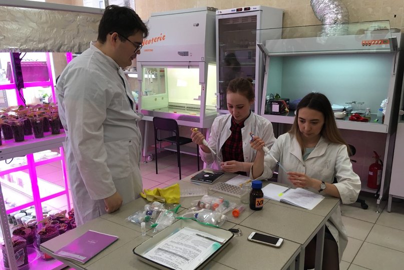 В лаборатории молекулярной биоинженерии межвузовского кампуса Уфы создают уникальные лекарственные культуры