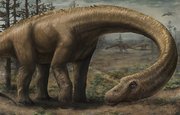 Ученые подсчитали, сколько видов динозавров жило на Земле