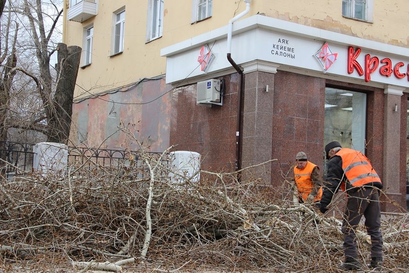 В Уфе продолжают демонтировать рекламные растяжки и срубают аварийные деревья