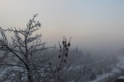 В Башкирии образуется туман с видимостью менее 500 метров