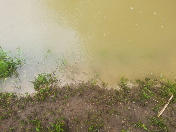 Башкирскую компанию снова обвиняют в загрязнении реки: К делу подключили природоохранную прокуратуру