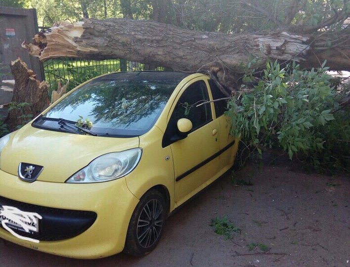 В Уфе на припаркованную машину рухнуло дерево