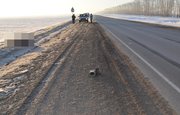 В Башкирии на обочине трассы нашли труп сбитого грузовиком мужчины