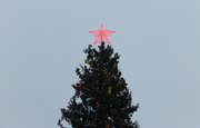 На Советской площади в Уфе появится новогодняя елка 
