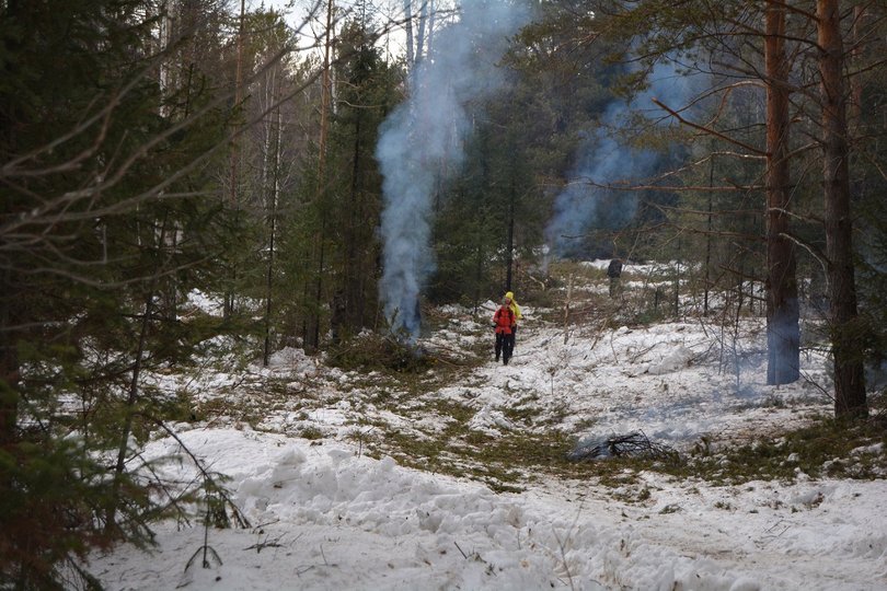 В Белорецком районе обнаружили еще одну вырубку леса