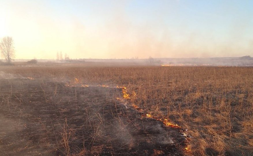 В районе Башкирии площадь горения травы достигла двух гектаров