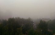 Жителей Башкирии предупреждают об ухудшении видимости из-за тумана