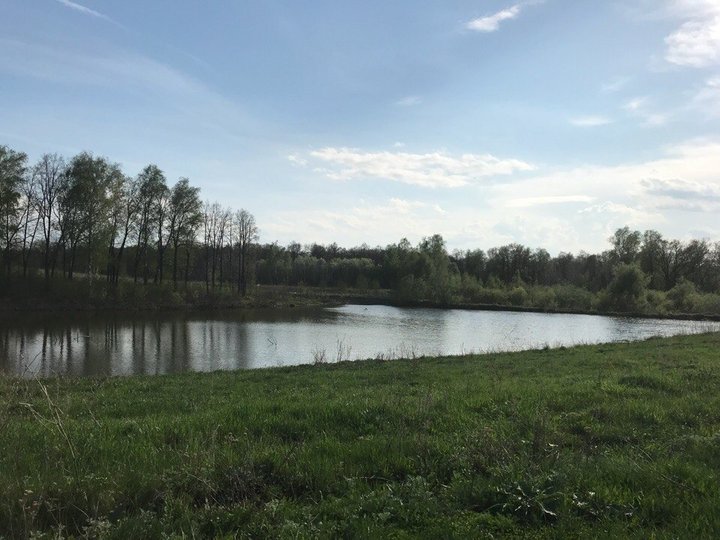 Водоемы в Толбазах.