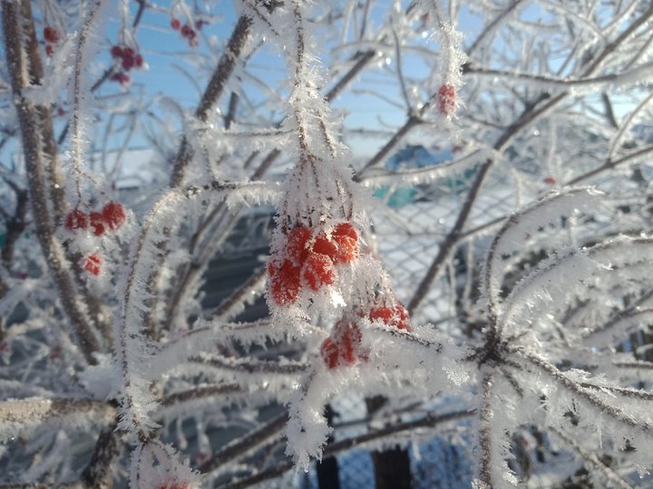 Синоптики прогнозируют снег и морозы в Башкирии