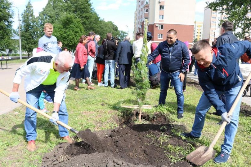 Аллея детства. Аллея детства Уфа. Аллея детства Оренбург. В Уфе появилась аллея юристов. Аллея детства Суровикино.