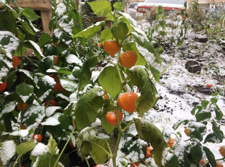 В Башкирии дождь со снегом прогнозируют уже в эти выходные
