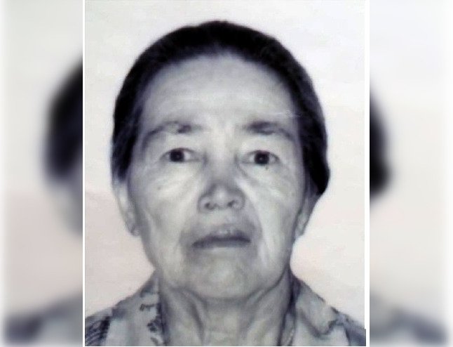 В Башкирии пропала 83-летняя пенсионерка 