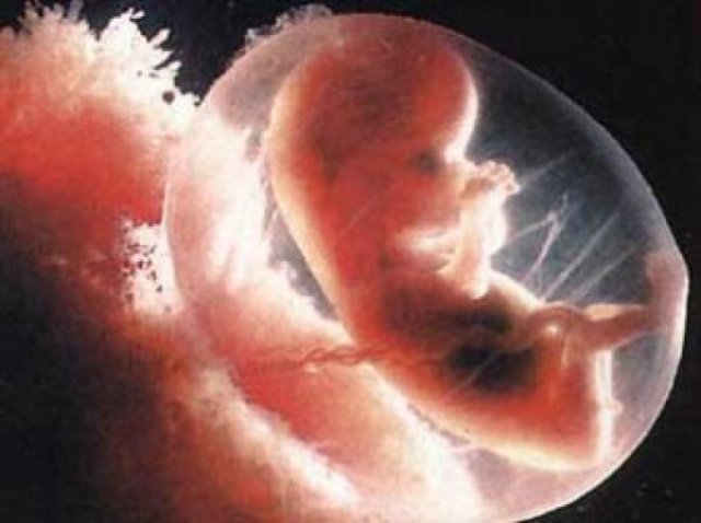 Ученые: Человеческий эмбрион может сформироваться из неоплодотворенной яйцеклетки