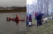 В Башкирии пожарные спасли собаку, застрявшую на тонком льду посреди пруда