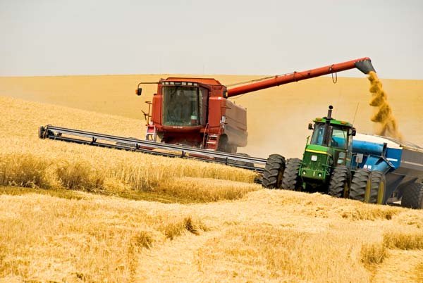 В Башкирии собрали свыше 2 млн 400 тысяч тонн зерна