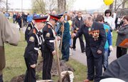 В Уфе посадят деревья в память погибшим фронтовикам