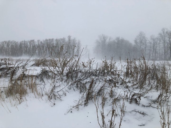 В Башкирии из-за снегопада закрыли некоторые дороги