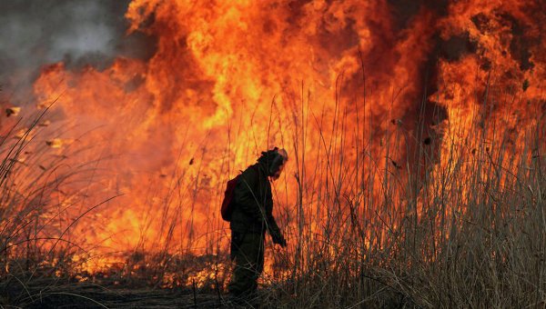 В Калифорнии эвакуировали 30 тыс человек, чтобы спасти от пожаров