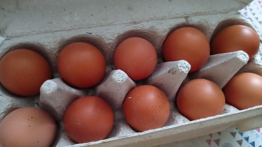 Почти в два раза: Жители Уфы обнаружили резкое падение цен на яйца