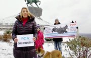 Жители Башкирии стали вновь выкладывать записанное год назад видеообращение к Владимиру Путину