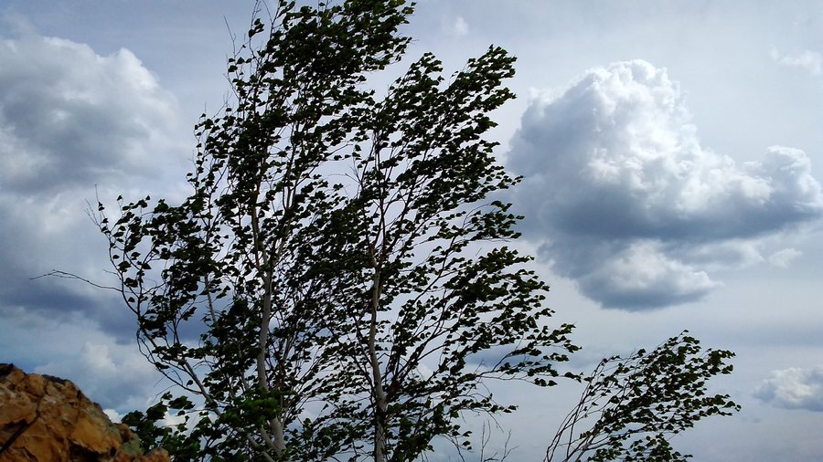 В Башкирии прогнозируют шквалистый ветер и дожди с грозами