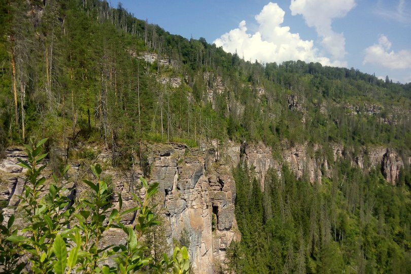 В Башкирии мужчина застрял в скале, спасая собаку